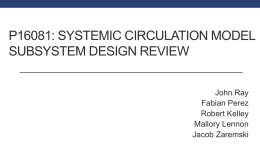 P16081: Systemic Circulation Model Subsystem Design