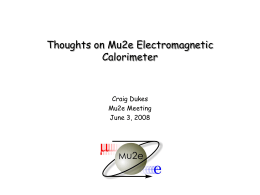 mu2e_2009jan24_calorimeter