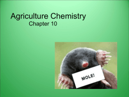 The Mole/10.1 PowerPoint