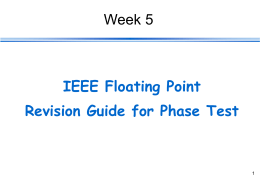 IEEE Floating Point Instructions