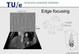 Edge focusing, follicles - BioMedical Image Analysis