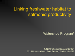 Linking habitat to salmonid productivity