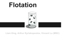 Flotation - Vicphysics