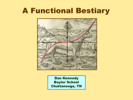 A Functional Bestiary (Powerpoint)