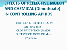 EFFECTS OF REFLECTIVE MULCH AND CHEMICAL (Dimethoate)