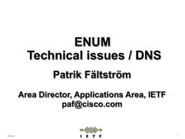 ENUM Technical Issues/DNS, Mr. Patrik Fältström