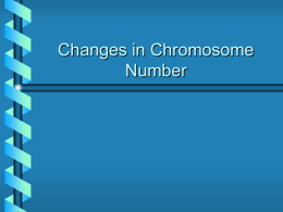 Chromosome Number Changes