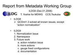 Report from Metadata Working Group