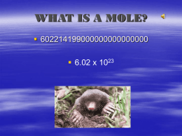 WHAT IS A MOLE?