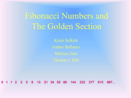 Fibinocci Numbers and The Golden Section