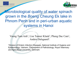 Quality of water spinach in Phnom Penh and Hanoi