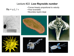 BE105_22_low_reynolds_numbers