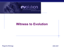 Evolution Examples