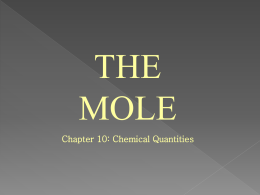 Ch 10 The Mole