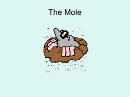 The Mole - TeacherWeb