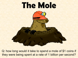 Mole - WordPress.com