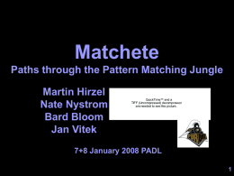 Matchete Paths through the Pattern Matching Jungle