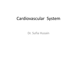 By Dr. Sufia Hussein