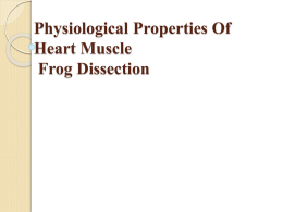 Physiological Properties Of Heart Muscle Frog Dissection