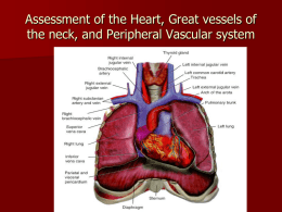 lecture 2-Cardiovascular Assessment