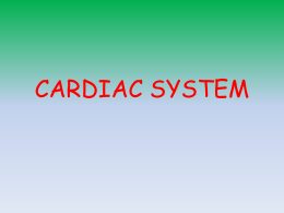 Cardiovascular System Lesson 2 Live Show