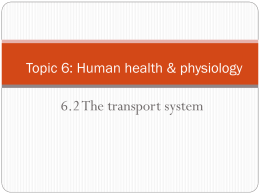6.2 Transport system - HIS IB Biology 2011-2013