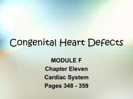 Congenital Heart Defects - Macomb