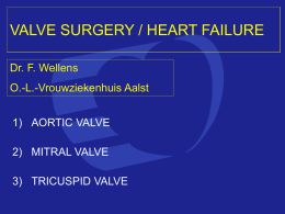 Mitral Valve Surgery 1991-2006 - Belgian Working Group Heart