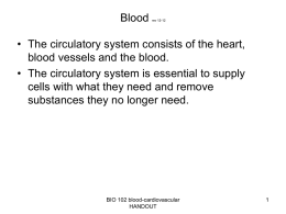 Circulatory System & Blood
