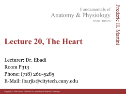 Lecture 20, The Heart - Websupport1