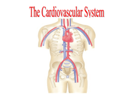 Cardiovascular System - Northwest Technology Center