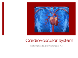 Cardiovascular System - Downey Unified School District