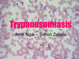Trypanosomiasis Jane Ngai – Simon Zappia