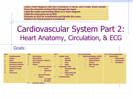 Cardiovascular System Part 2 - Monona Grove School District