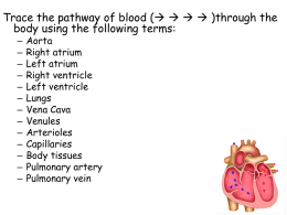 Cardiovascular System: The Heart Chapter 18 Part 1