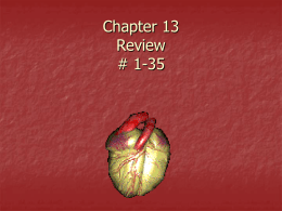 Chapter 13 Review