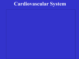 Cardiovascular - Daphne - A Palomar College Web Server