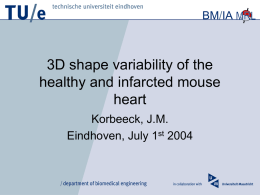 3D shape variability of the healthy and infarcted mouse heart