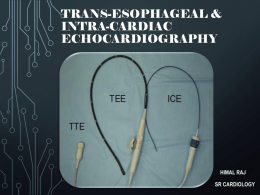 Trans-esophageal & Intra-cardiac Echocardiography