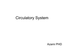 Circulatory System - Kashan University of Medical Sciences