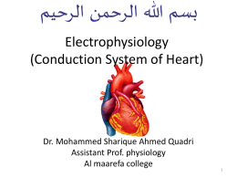 Electrical Activity of Heart