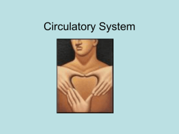 Circulatory System