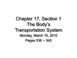 Chapter 17, Section 1 The Body’s Transportation System