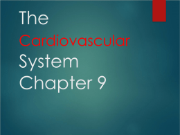 The Cardiovascular System Chapter 9
