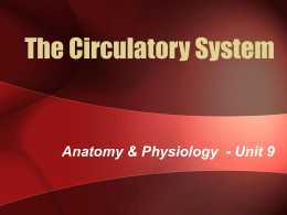 Circulatory System - The Naked Science Society