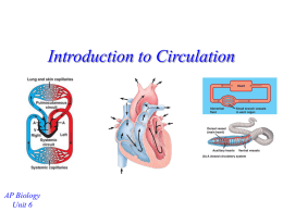 Introduction to Circulation - AP Biology 2012