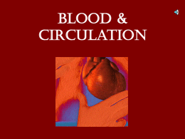 Blood & circulation