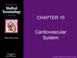 Chapter 10 Cardiovascular System