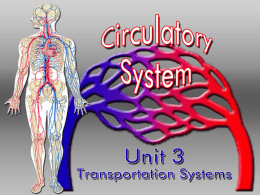 The RESPIRATORY System