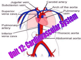 Unit12cadiovascularsystem